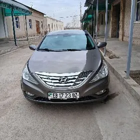 Hyundai Sonata 2010