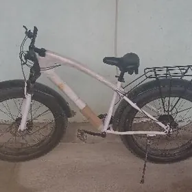 Tigir 26 lyk lokga teker