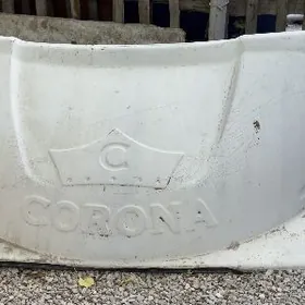 Kozeryok Zawaskoy Beyigi