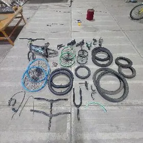 Tigir raboci zapçaslary