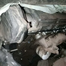 сенна матор