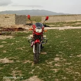 Fekon FK200-14G 2013