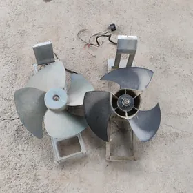 80 LIK KANSANER LOPUSY