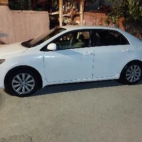 Toyota Corolla 2009