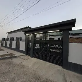 Çoganly 2 nji sfetafor 4 kom