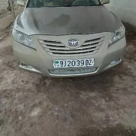 öküz kelle fara haliji 2008