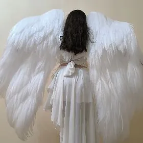 Крылья Ангела