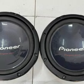 Pionner 1400 ayna bocga