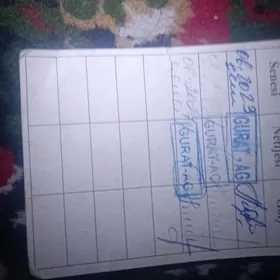 Guratlyk haty tapyldy