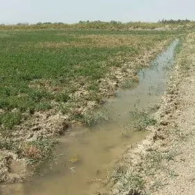 SATLYK GOKDEPE 10-GEKTAR YER