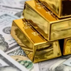 SATLYK ONUMCYLYK ULY ZDANYA