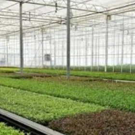 SATLYK TEPLYSA AFTOBAN 15-GEKT