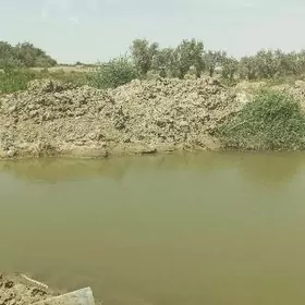 SATLYK 250-GEKTAR MULK YASLYK