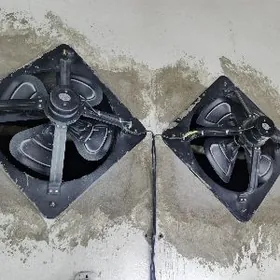 howalandyrma vytyshga