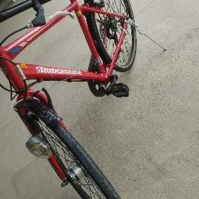 Tigir 27 Ýaponski WELOSIPED