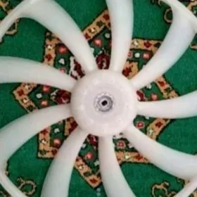 Aziýada camry wentilýator.