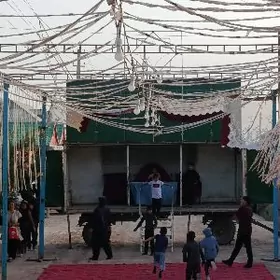 Toy Kejebe Telesga Prisep