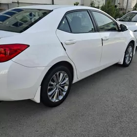 Toyota Corolla 2019