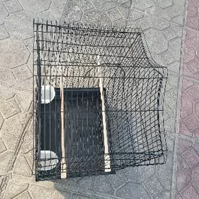 большая клетка