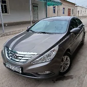 Hyundai Sonata 2010