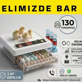  Inkubator Towuk Horaz Jüýje