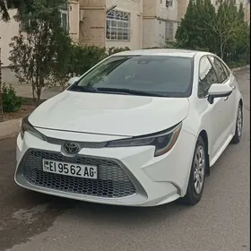 Toyota Corolla 2020