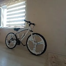 welik, velik, tigir, велосипед