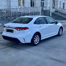 Toyota Corolla 2025