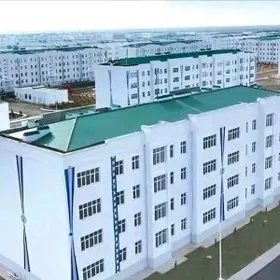 ЭЛИТКА СРОЧНО