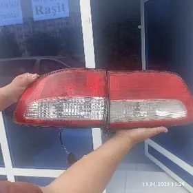 стопник сиенна 2003