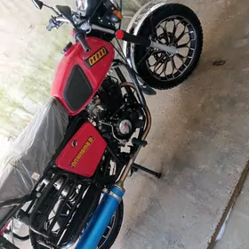 Fekon FK200-14G 2024