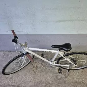 Tigir Велосипед Asahi