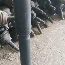 Amasatr land kuruzer 100 lik