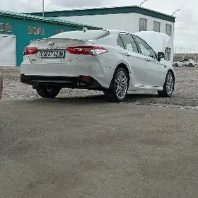 Toyota Camry 2019