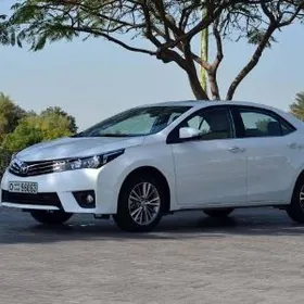 haliji diska 17 lik corolla