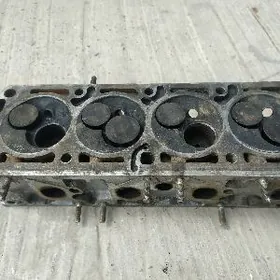 galowka галовка