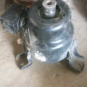 Paduska taze madel kemry