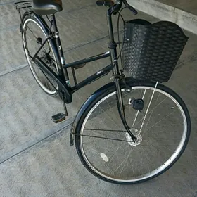 welosipet tiger 27lk