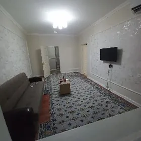 4 kom Arenda jay Govdan