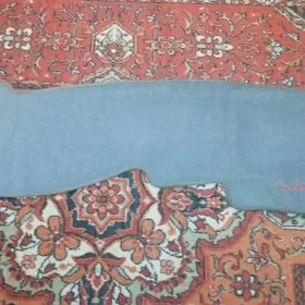 tarpedo kece tayota camry