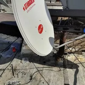 𝑺𝑻𝑨𝑹𝑮𝑶𝑳𝑫