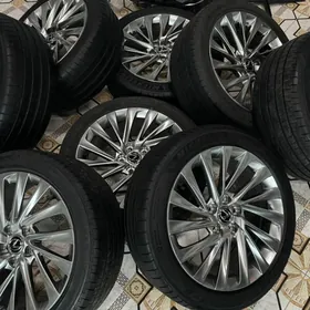 18 lik Lexus Diska pokryshga