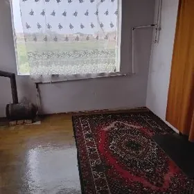 gorogly etrap aptoparkyn yanda