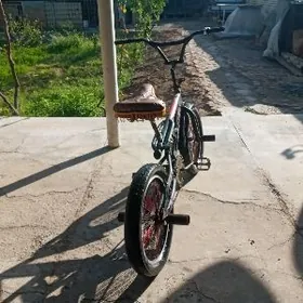 Welisapad lokga tigir