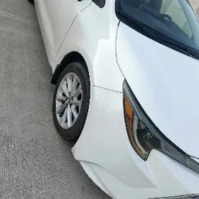 carolla 2022 ý brazgawik