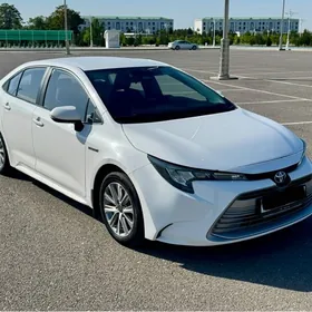 Toyota Corolla 2023
