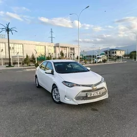 Toyota Corolla 2019