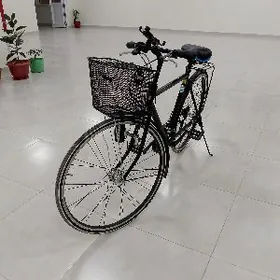 TIGIR BRİGESTONE 27LİK