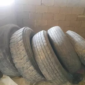 Teker bahasy janda(raboçiy)