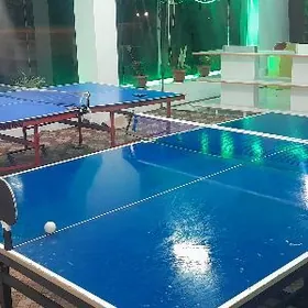 atraksiyon tenis stol